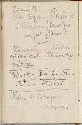 Open original Obiekt cyfrowy