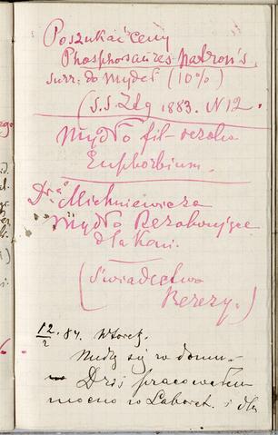 Open original Obiekt cyfrowy