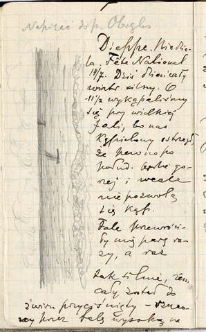 Open original Obiekt cyfrowy