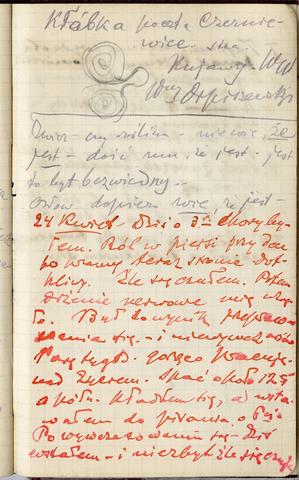 Open original Obiekt cyfrowy