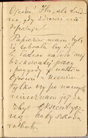 Open original Obiekt cyfrowy