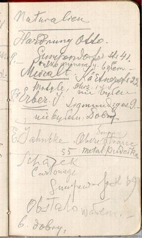 Open original Obiekt cyfrowy