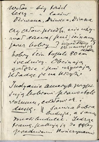 Open original Objet numérique