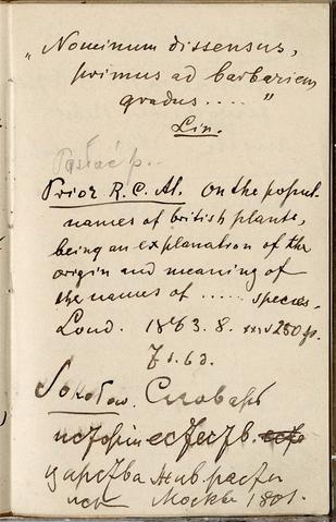 Open original Objet numérique