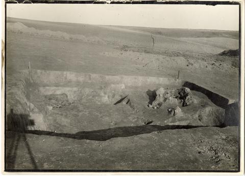 Open original Digital object