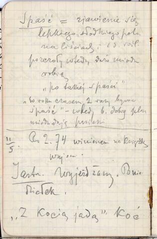 Open original Objet numérique