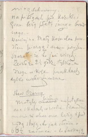 Open original Obiekt cyfrowy