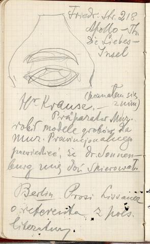 Open original Objet numérique