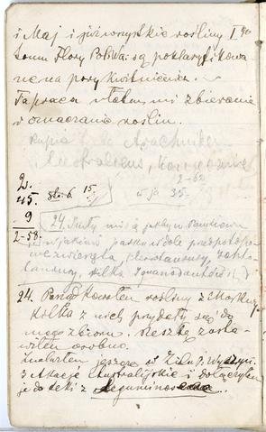 Open original Obiekt cyfrowy