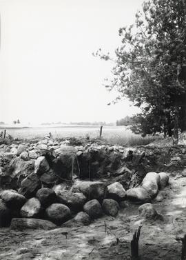 Fotografia czarno-biała (odbitka) obiektów archeologicznych  na cmentarzysku kurhanowym w miejsco...