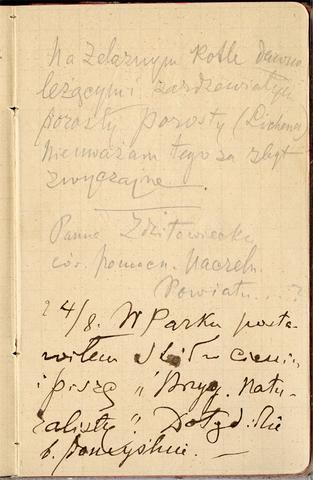 Open original Obiekt cyfrowy