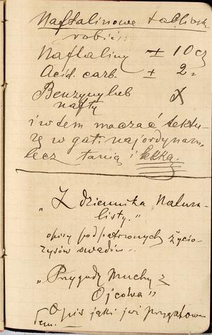 Open original Obiekt cyfrowy